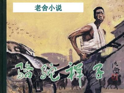 深入了解 97人人凹凸